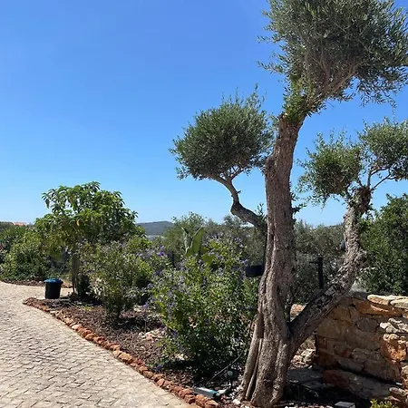Beautiful In Semi-rural Setting Apartment